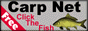 Carp Net, Click the Fish, A carp is featured on the button.